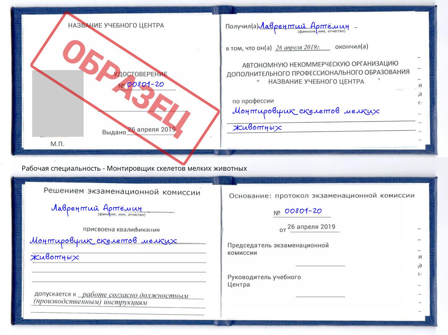 Монтировщик скелетов мелких животных Кизляр