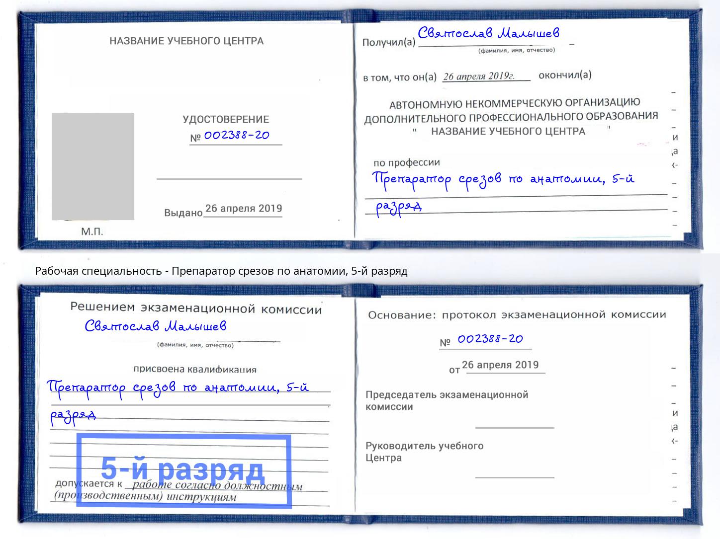 корочка 5-й разряд Препаратор срезов по анатомии Кизляр