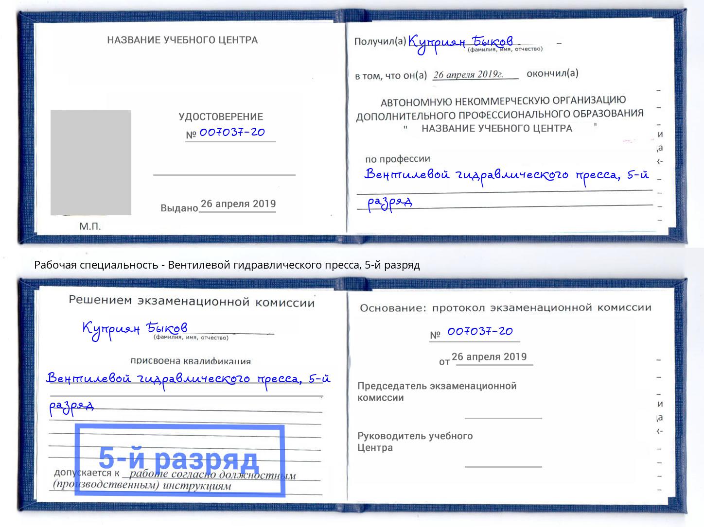 корочка 5-й разряд Вентилевой гидравлического пресса Кизляр