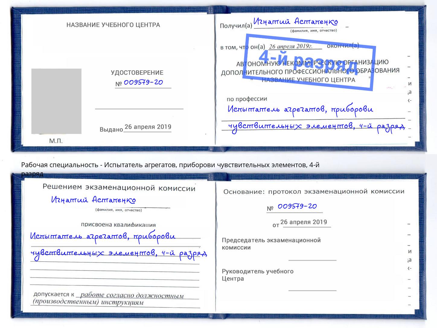 корочка 4-й разряд Испытатель агрегатов, приборови чувствительных элементов Кизляр