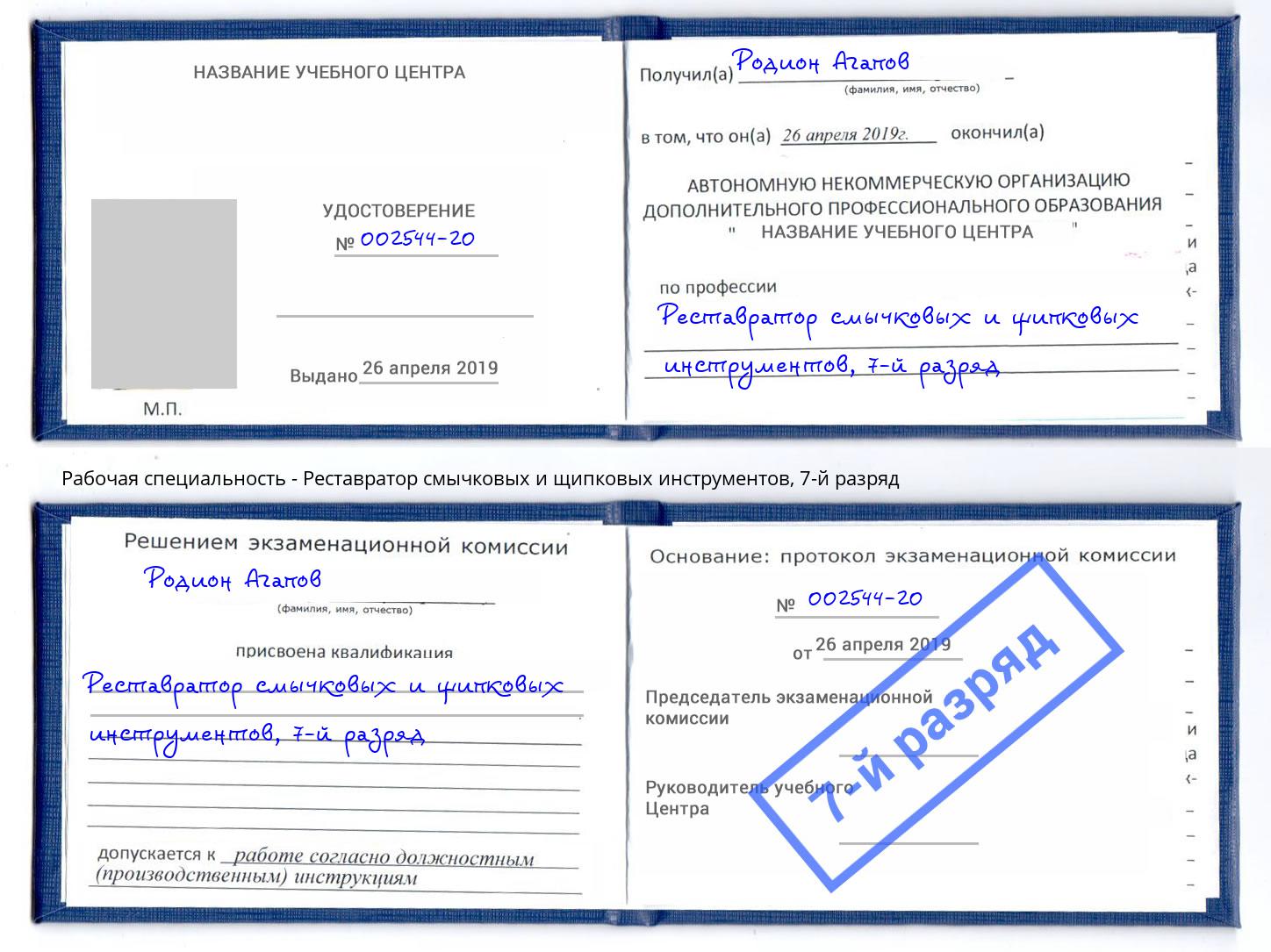 корочка 7-й разряд Реставратор смычковых и щипковых инструментов Кизляр