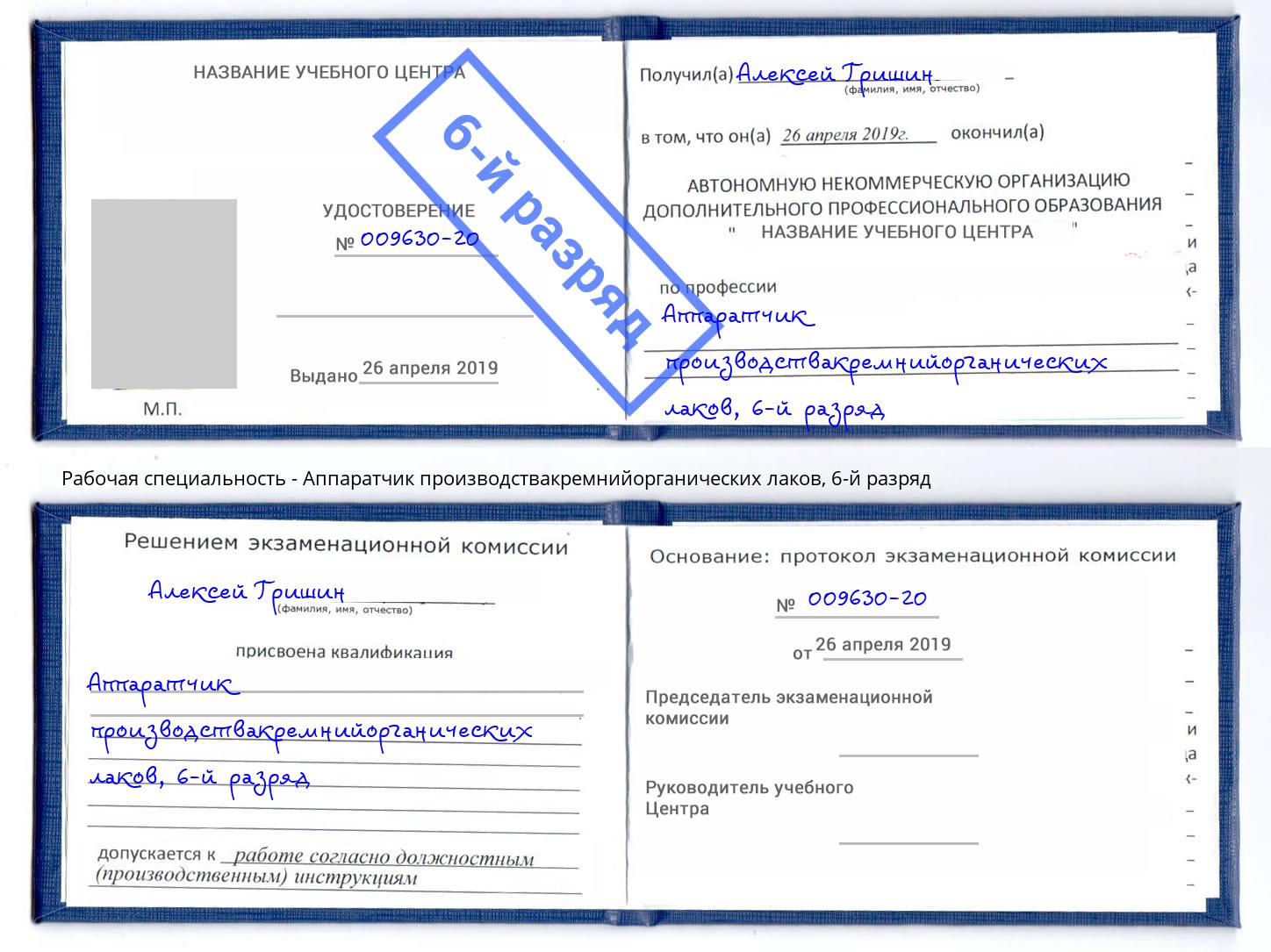 корочка 6-й разряд Аппаратчик производствакремнийорганических лаков Кизляр