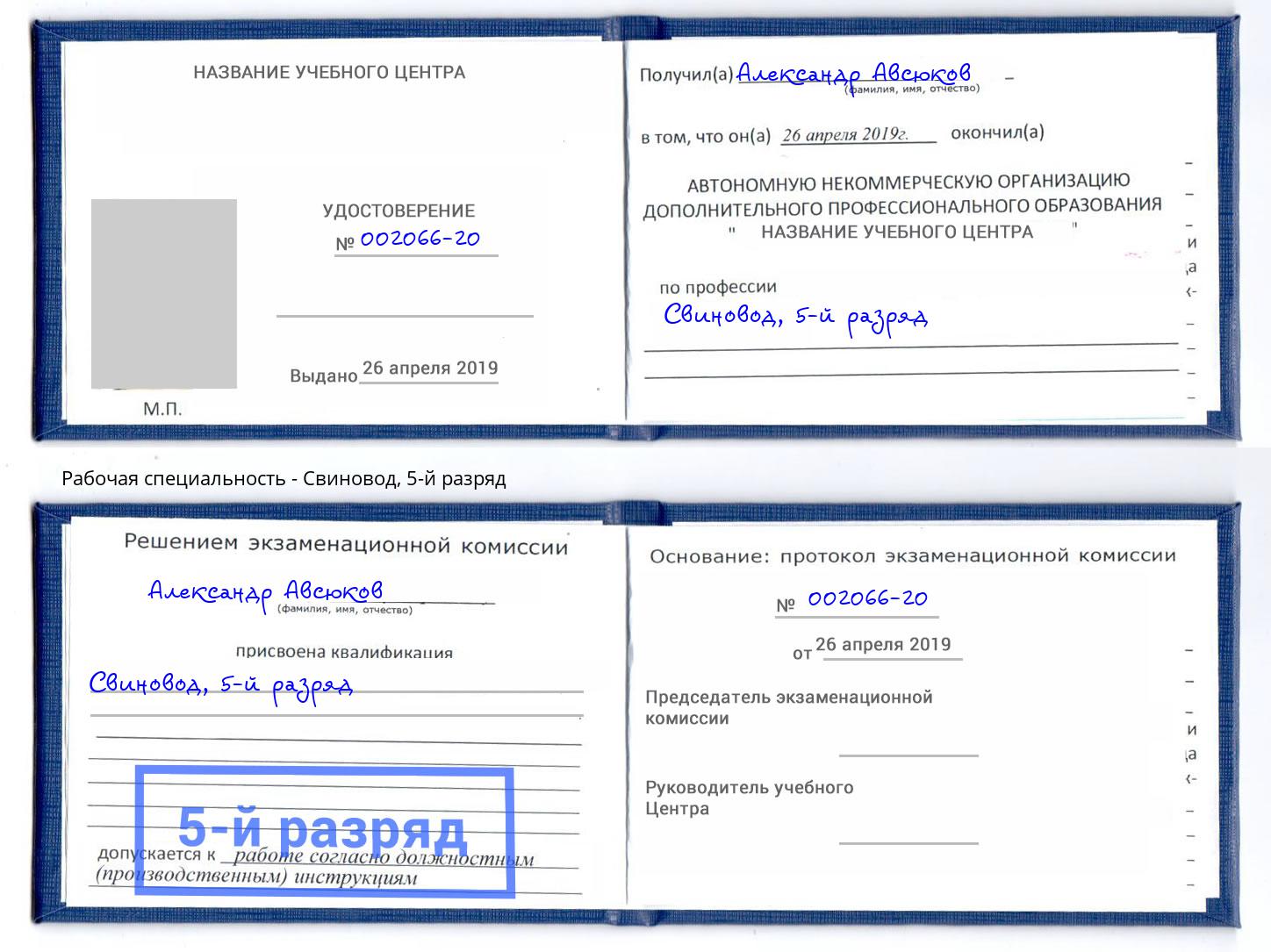 корочка 5-й разряд Свиновод Кизляр