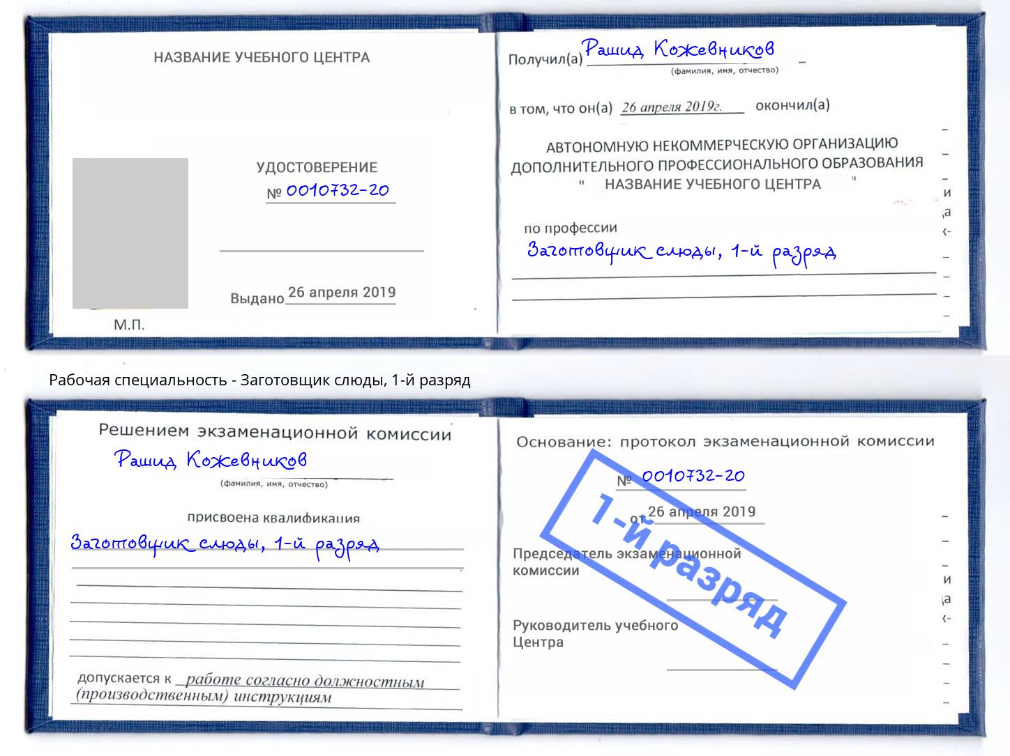 корочка 1-й разряд Заготовщик слюды Кизляр
